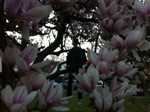 Aaron in a Magnolia tree